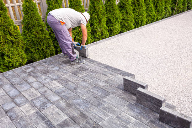 Best Brick Driveway Pavers  in Dassel, MN