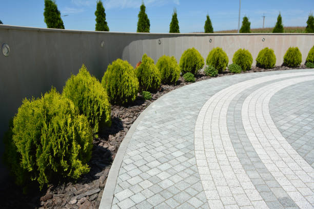 Reasons to Select Us for Your Driveway Paving Requirements in Dassel, MN